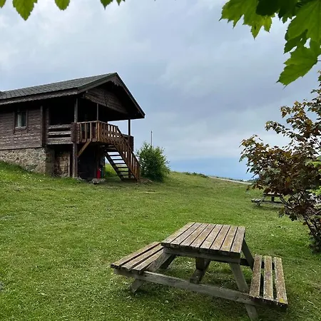 Dag Evi Dağ evi *