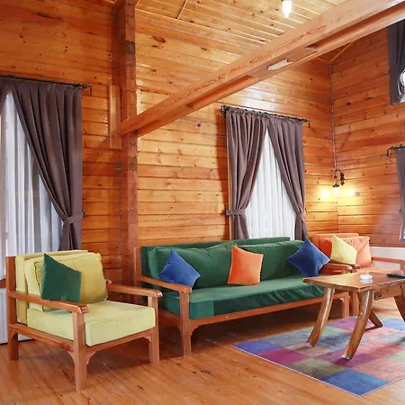 Dag Evi *